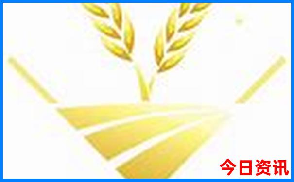 新疆自驾游必去景点有哪些