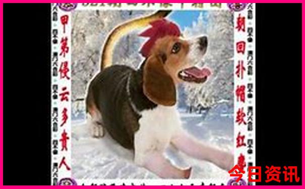 泰国有什么好玩的旅游景点