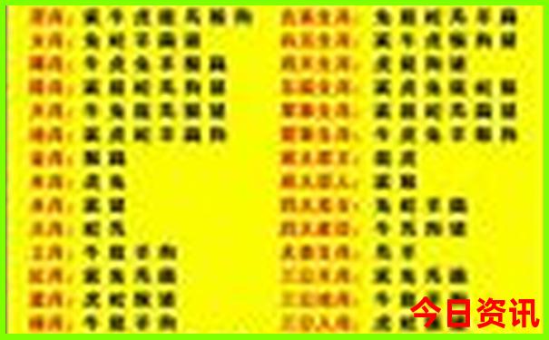 澳门旅游景点大全